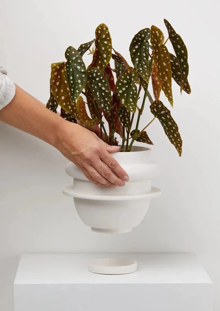 Capra Designs Bud Planter