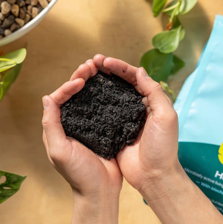 Organic Potting Soil Mix, Indoor, Houseplants &amp; Herbs