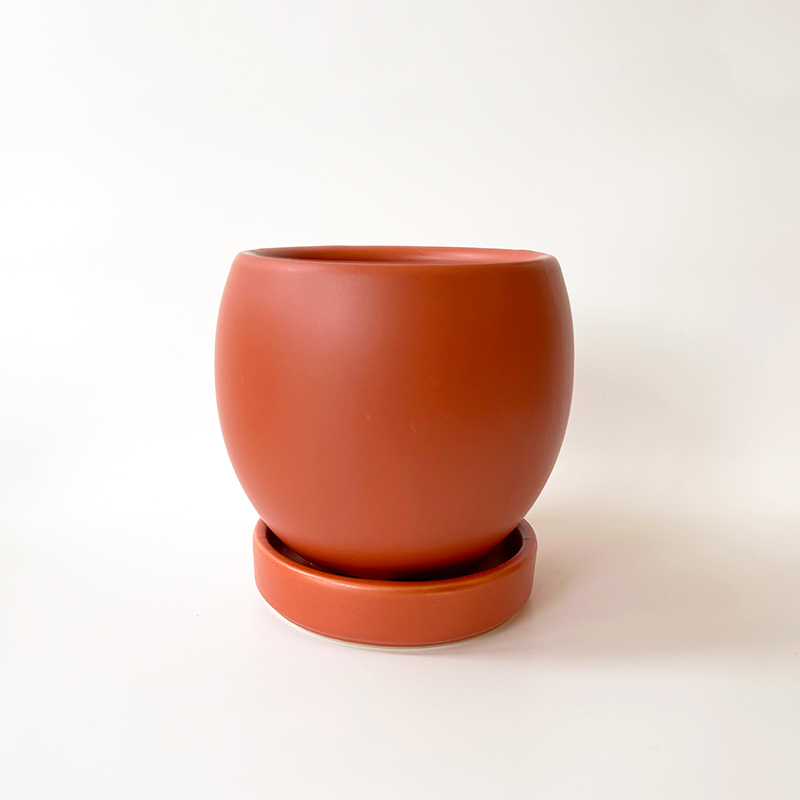 6” Gemstone Bollé