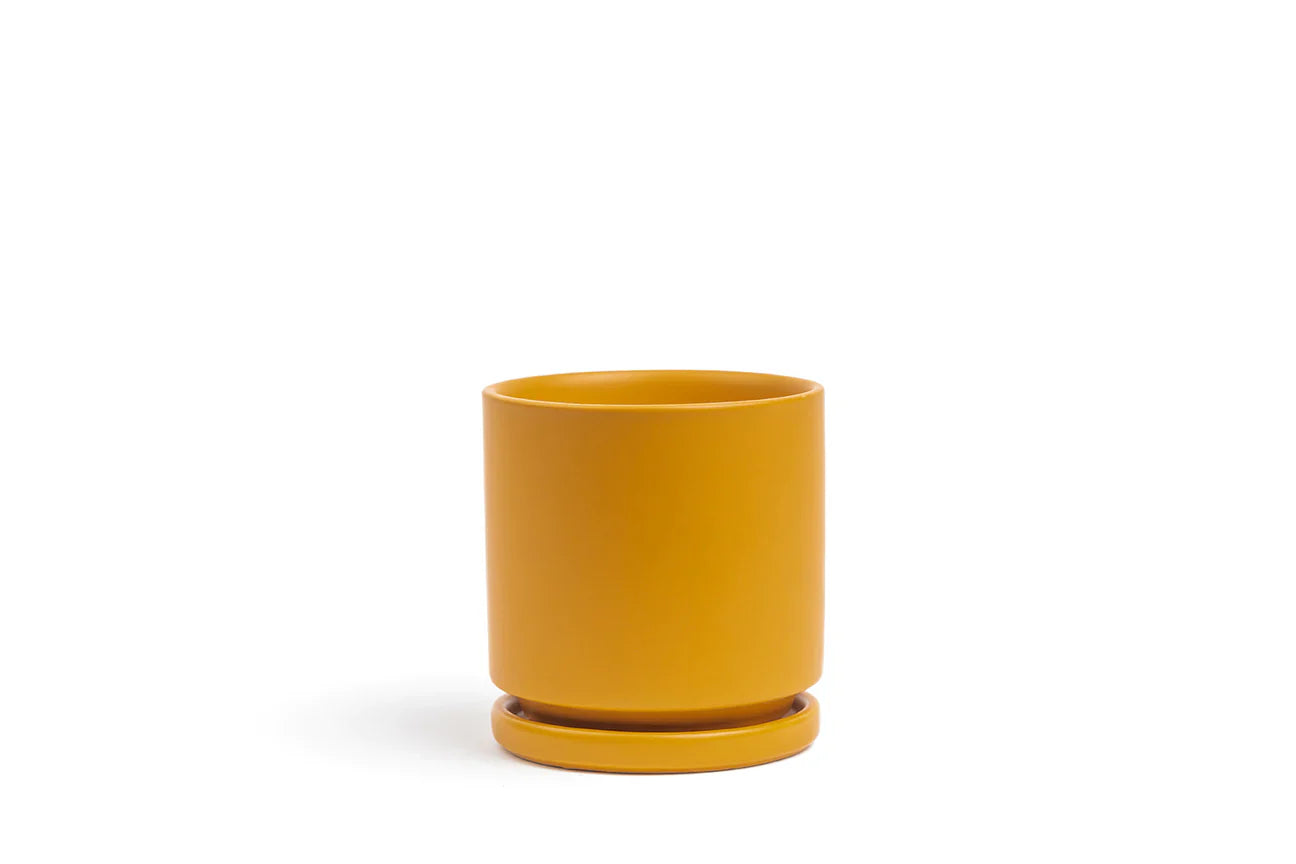 Momma Pots Gemstone Cylinder (6")