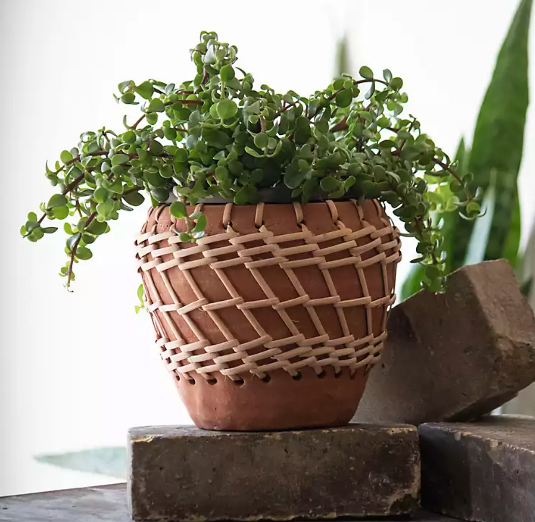 Woven Terracotta Planter